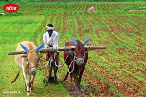 kisan