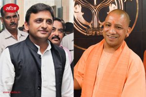 yogi