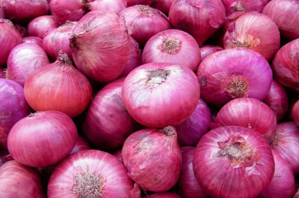 क्या आपको पता है प्याज के ये 6 फायदे