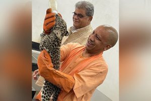 तेंदुए के दो मादा शावकों में एक को भवानी तो दूसरे को चंडी नाम दिया मुख्यमंत्री योगी ने