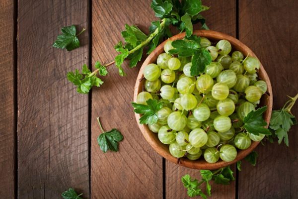 विंटर स्पेशल : सर्दियों की इन परेशानियों का इलाज है आंवला