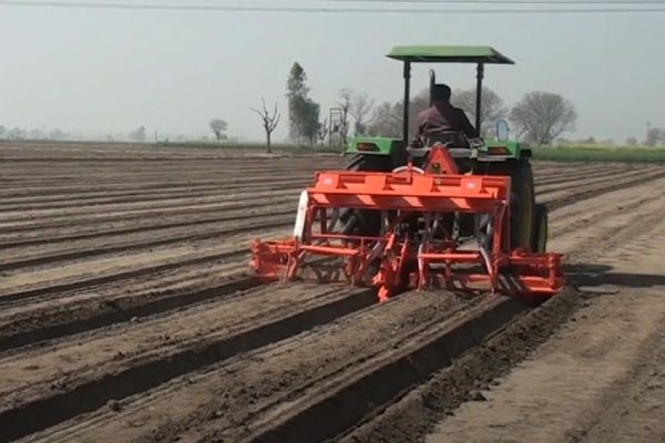राइजोबियम कल्चर का दलहन उत्पादन में महत्व