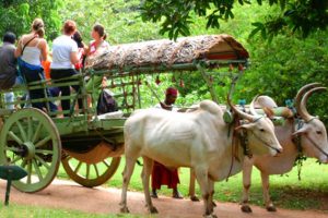पर्यटन: विलेज टूरिज्म से स्मार्ट होंगे गांव