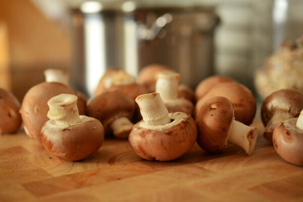 Mushroom Benefits : डायबिटीज से लेकर हृदय तक, सर्दियों में मशरूम है कई रोगों का इलाज