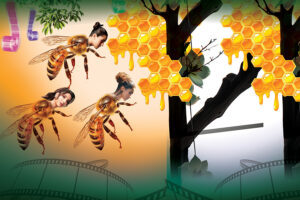 dharm or bollywood