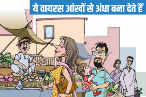 स्वाइन फ्लू, बर्ड फ्लू से नहीं वाइफ फ्लू से डर लगता है