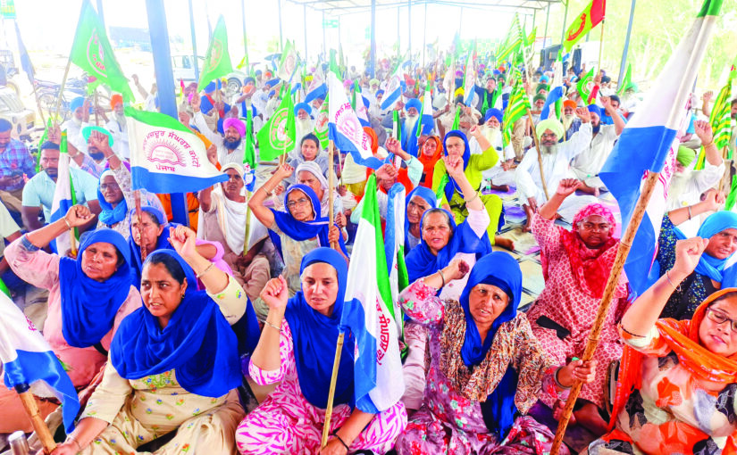 किसानों को रिझाने में जुटी भाजपा