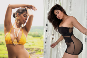 सोफिया अंसारी, पूनम पांडे के Leak Sex Videos वायरल होने का नुस्खा तो नहीं
