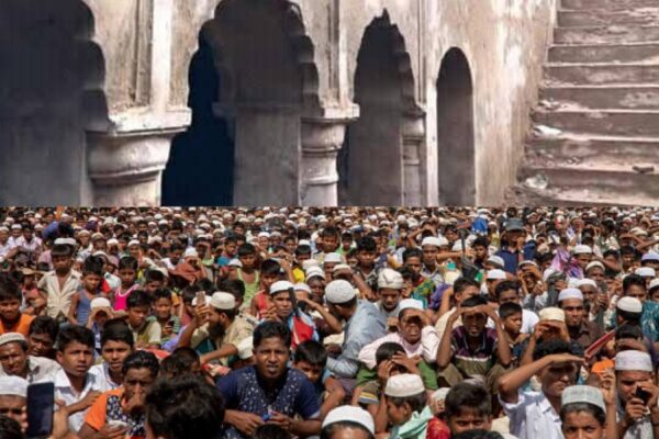 Majority and Minority : बहुमत और अल्पसंख्यक