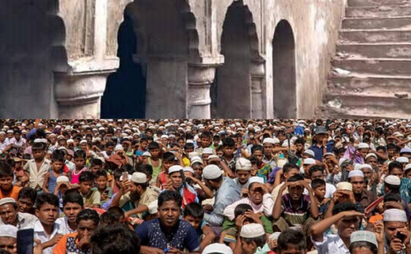 Majority and Minority : बहुमत और अल्पसंख्यक
