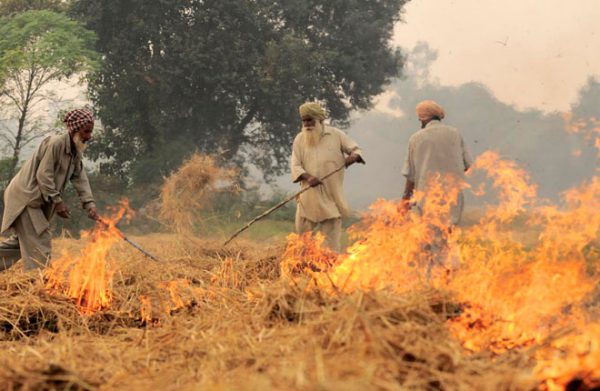 जी हां…खेत का कचरा है खेत का सोना