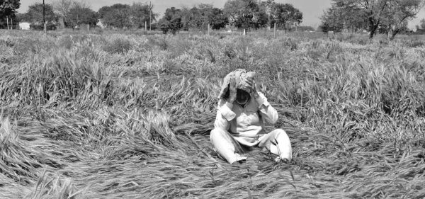 अन्नदाता के मातमी आंसुओं पर मनाया जा रहा जश्न