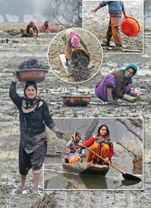 कुछ कहती हैं तसवीरें