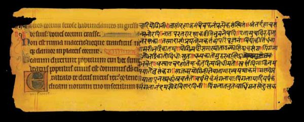 क्यों पढ़ें बच्चे जरमन या संस्कृत
