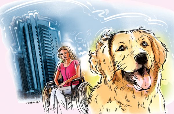 टौमी  : मेरे बैड पर ही सोने लगा