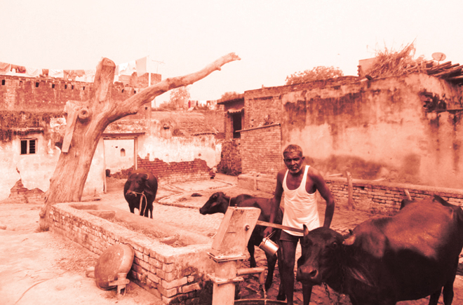 शराब का लती एक गांव