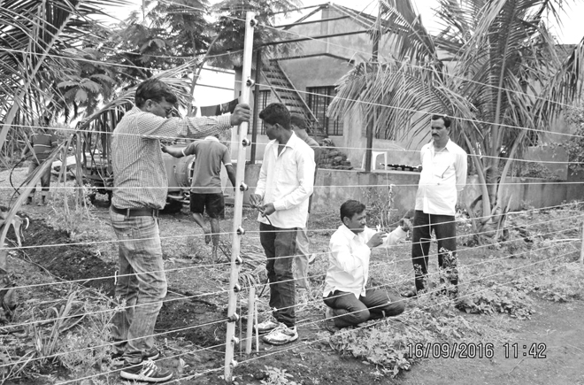 सोलर पावर फैंसिंग से करें फसल सुरक्षा
