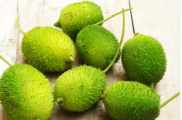 मधुमेह के रोगियों के लिए औषधीय पौधा ककोड़ा