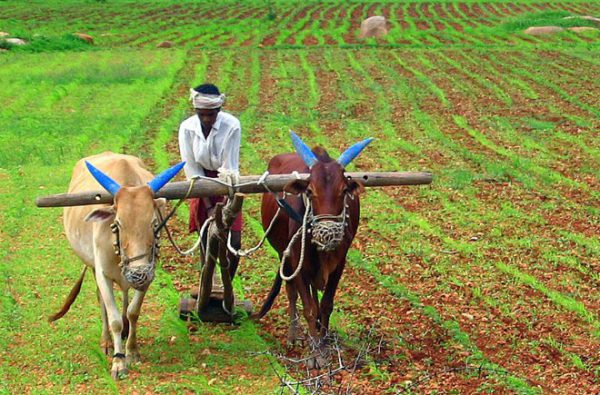 बजट: किसानों को राहत या लुभाने का नया अंदाज