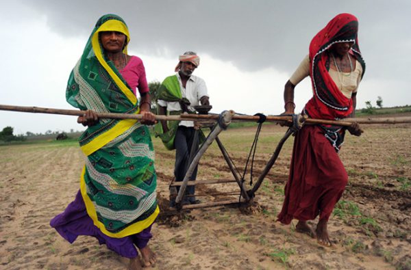 मौसम का बिगड़ता मिजाज, किसानों का न कल बचा न आज