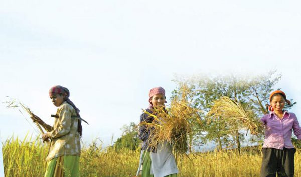 अक्तूबर माह में किसान के काम
