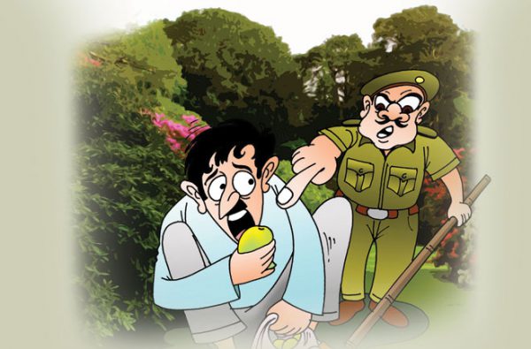 यों आम खाएगा आम आदमी